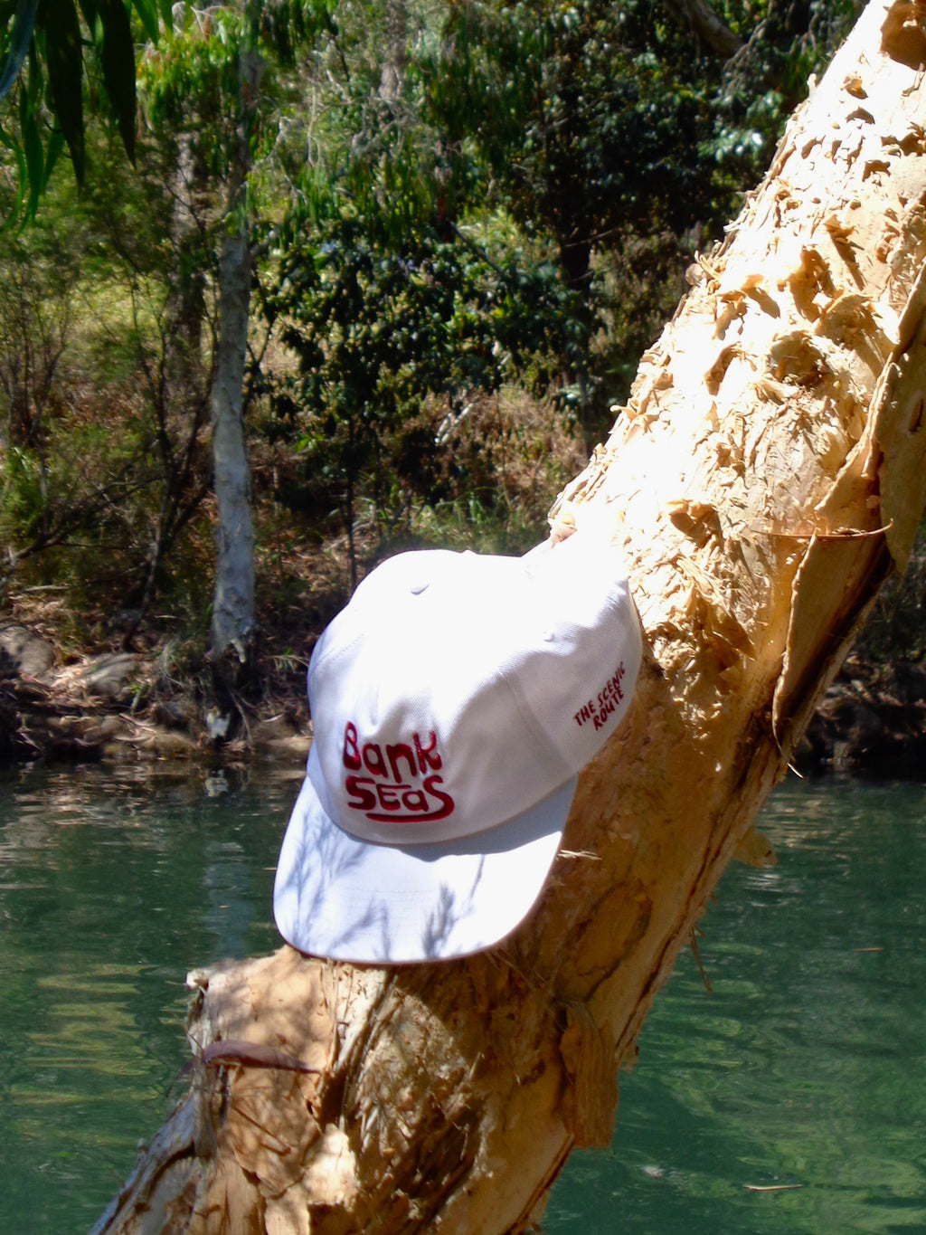 The Scenic Route Cap